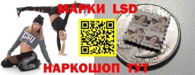 ПСИЛОЦИБИНОВЫЕ ГРИБЫ Нальчик