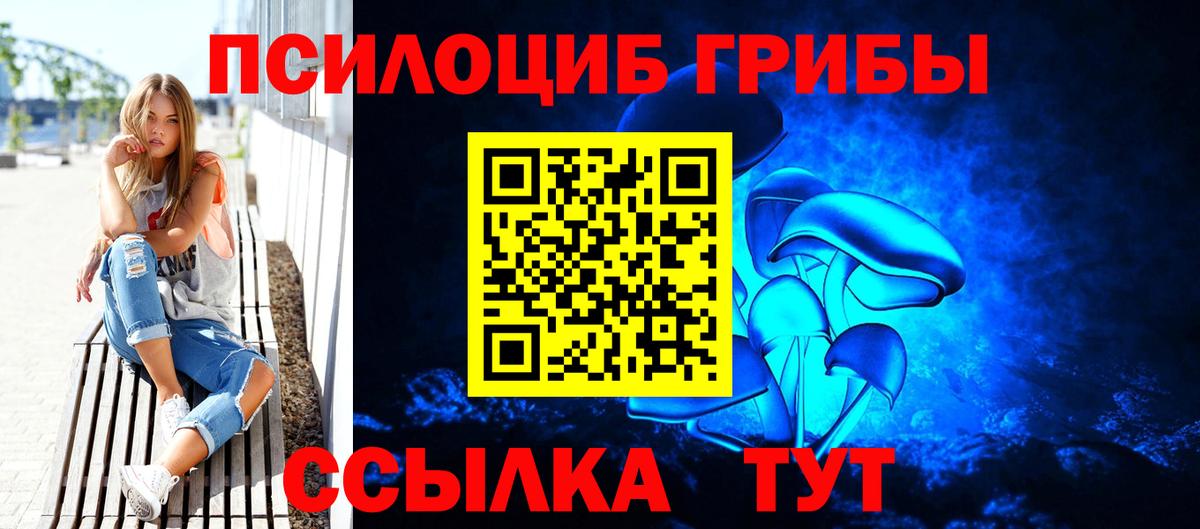 Семёнов  Псилоцибиновые грибы Psilocybine cubensis  Вход с VPN 