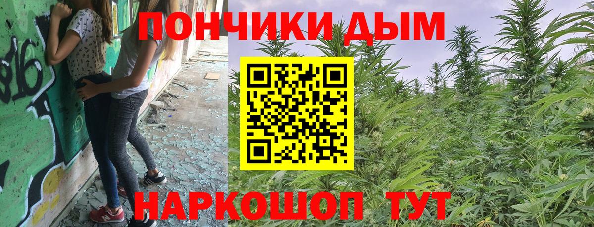 Каннабис конопля  Вход с VPN  Конопля Bruce Banner  Шишки марихуана Amnesia  Семёнов 
